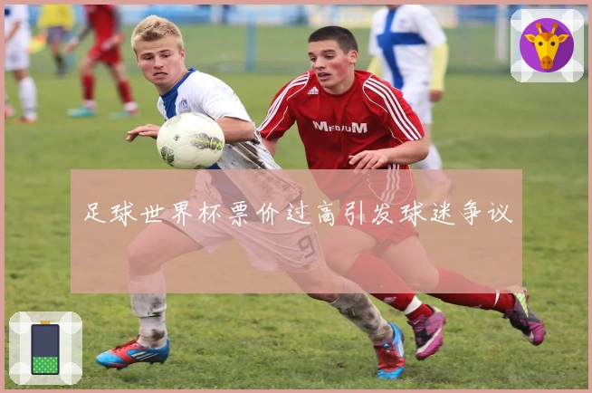 足球世界杯票价过高引发球迷争议