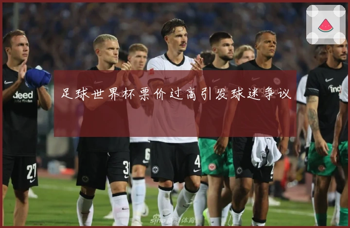 足球世界杯票价过高引发球迷争议